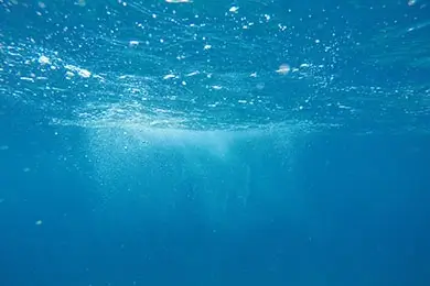 Dienstleistung_Legionellen-K-K