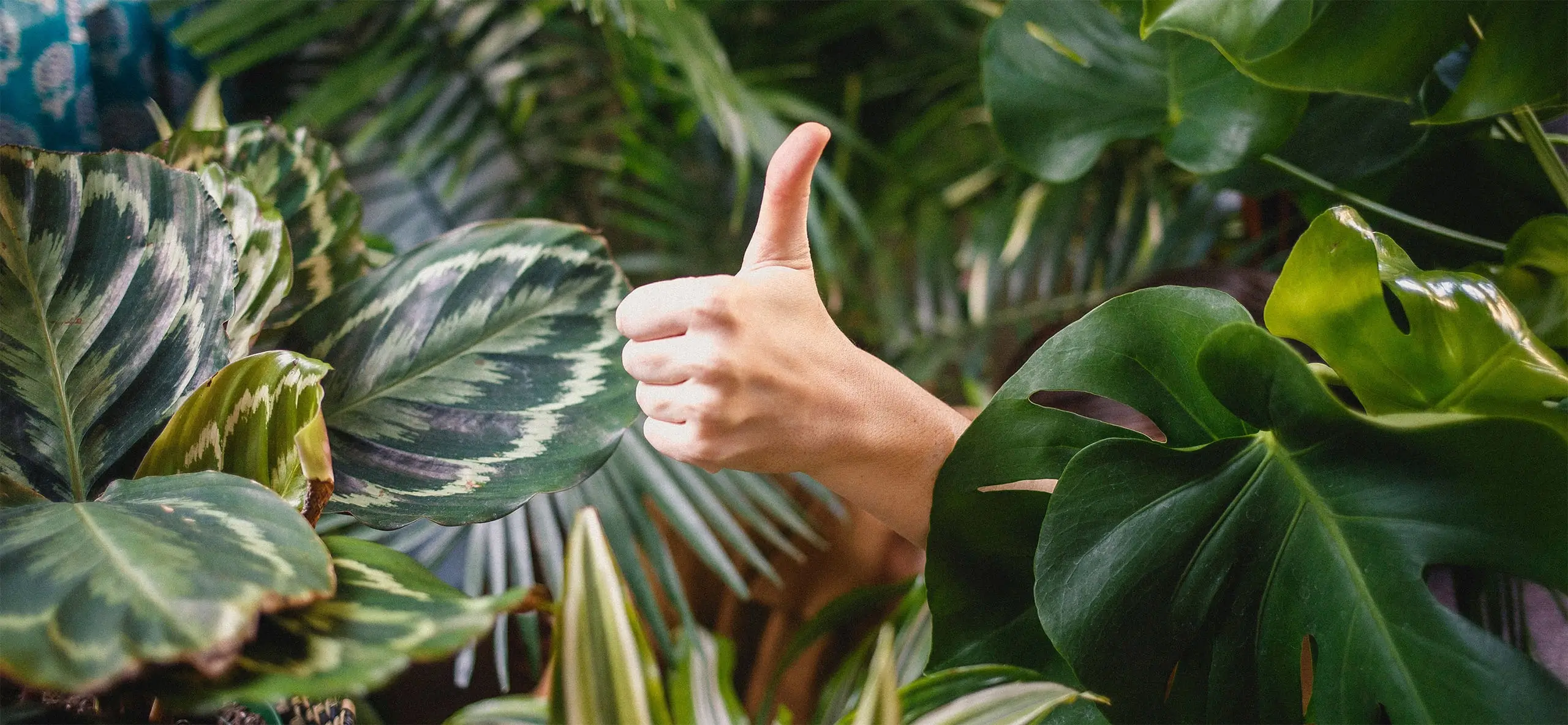 Daumen hoch zur Energieeffizienz